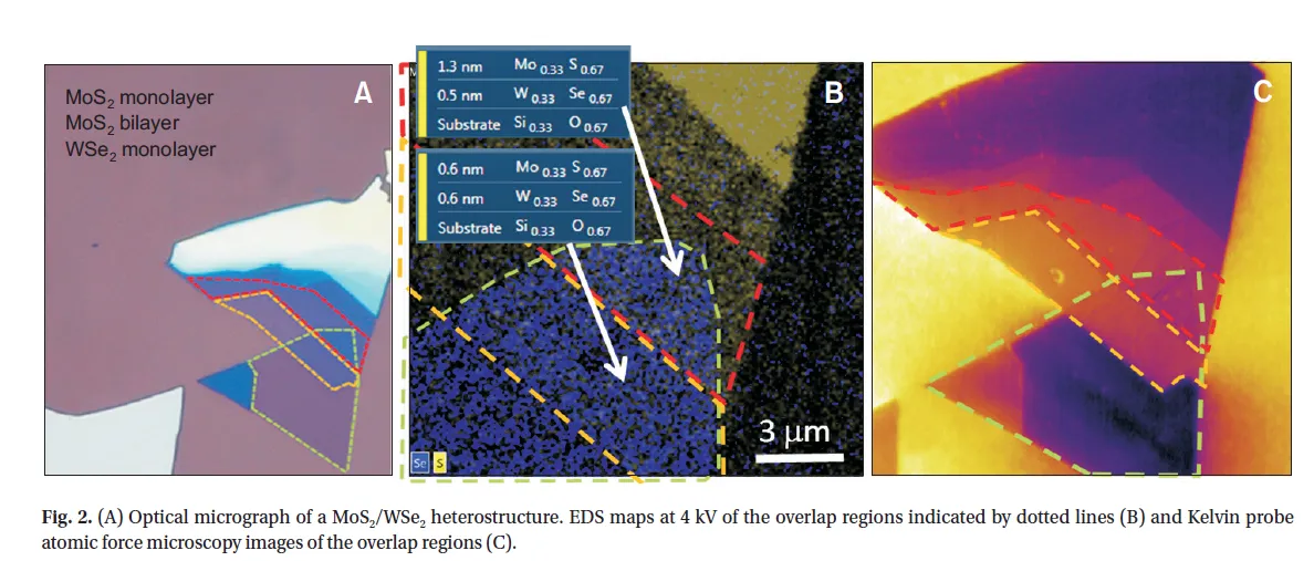 Nanomaterial Growth and Characterisation figure 1